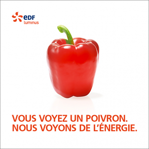 Campagne EDF Luminus par l agence secrète