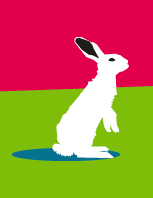  Illustration d'un lapin réalisée pour l'opération de l'écume des jours de l'INPI par l'agence secrète